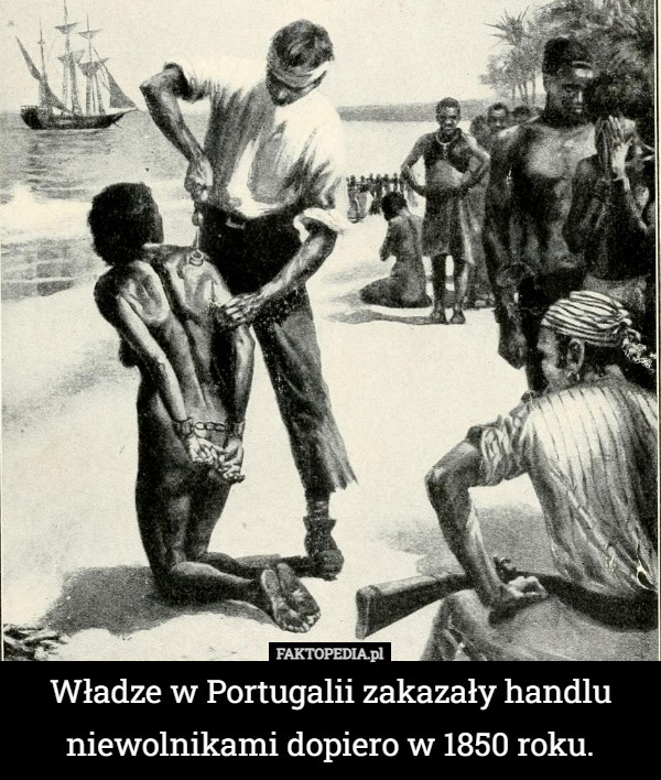 Władze w Portugalii zakazały handlu niewolnikami dopiero w 1850 roku. 