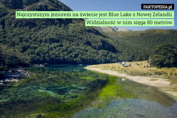 Najczystszym jeziorem na świecie jest Blue Lake z Nowej Zelandii. Widzialność w nim sięga 80 metrów. 