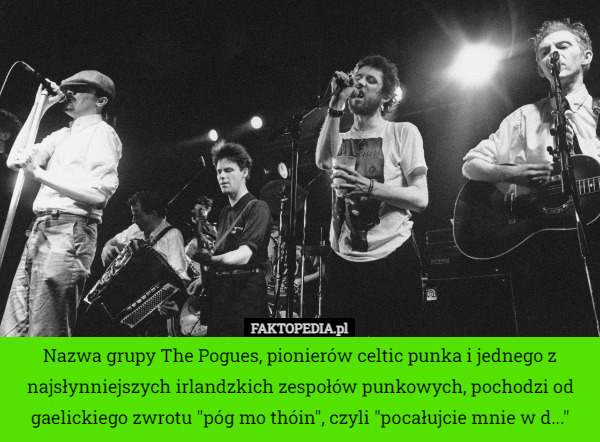 Nazwa grupy The Pogues, pionierów celtic punka i jednego z najsłynniejszych irlandzkich zespołów punkowych, pochodzi od gaelickiego zwrotu "póg mo thóin", czyli "pocałujcie mnie w d..." 