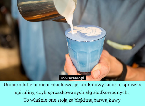 Unicorn latte to niebieska kawa, jej unikatowy kolor to sprawka spiruliny, czyli sproszkowanych alg słodkowodnych. 
To właśnie one stoją za błękitną barwą kawy. 