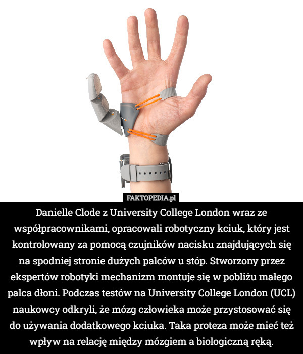 Danielle Clode z University College London wraz ze współpracownikami, opracowali robotyczny kciuk, który jest kontrolowany za pomocą czujników nacisku znajdujących się na spodniej stronie dużych palców u stóp. Stworzony przez ekspertów robotyki mechanizm montuje się w pobliżu małego palca dłoni. Podczas testów na University College London (UCL) naukowcy odkryli, że mózg człowieka może przystosować się do używania dodatkowego kciuka. Taka proteza może mieć też wpływ na relację między mózgiem a biologiczną ręką. 