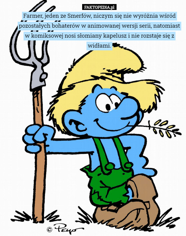 Farmer, jeden ze Smerfów, niczym się nie wyróżnia wśród pozostałych bohaterów w animowanej wersji serii, natomiast w komiksowej nosi słomiany kapelusz i nie rozstaje się z widłami. 