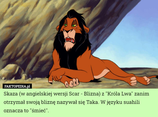 Skaza (w angielskiej wersji Scar - Blizna) z "Króla Lwa" zanim otrzymał swoją bliznę nazywał się Taka. W języku suahili oznacza to "śmieć". 