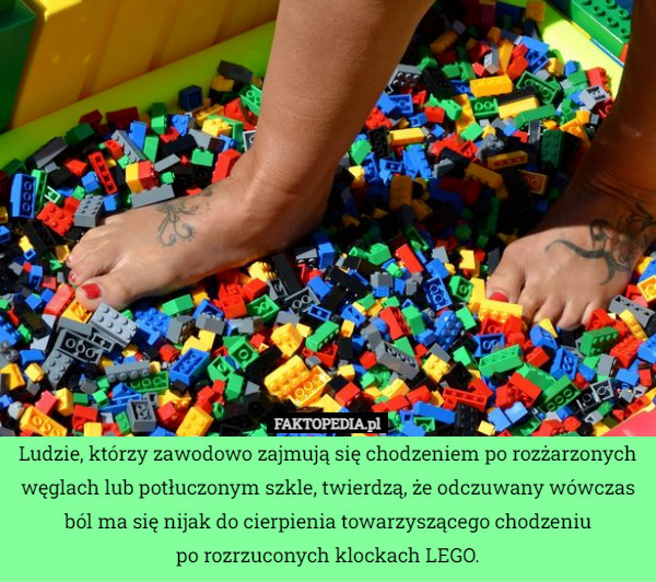Ludzie, którzy zawodowo zajmują się chodzeniem po rozżarzonych węglach lub potłuczonym szkle, twierdzą, że odczuwany wówczas ból ma się nijak do cierpienia towarzyszącego chodzeniu
po rozrzuconych klockach LEGO. 