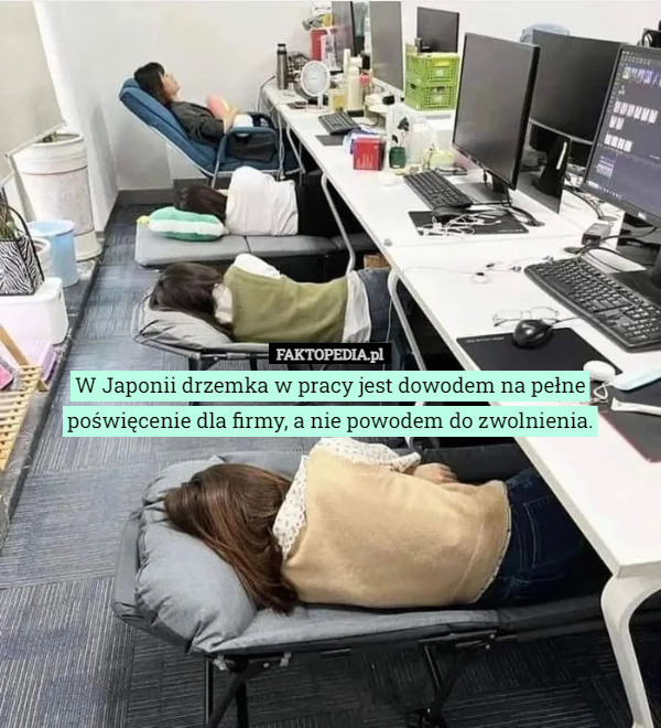 W Japonii drzemka w pracy jest dowodem na pełne poświęcenie dla firmy, a nie powodem do zwolnienia. 