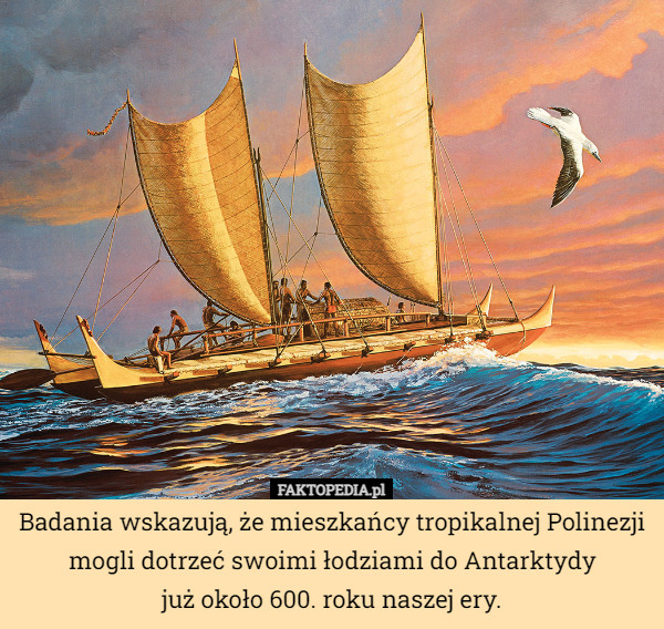 Badania wskazują, że mieszkańcy tropikalnej Polinezji mogli dotrzeć swoimi łodziami do Antarktydy
już około 600. roku naszej ery. 