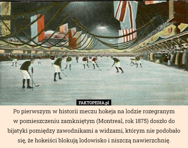 Po pierwszym w historii meczu hokeja na lodzie rozegranym
 w pomieszczeniu zamkniętym (Montreal, rok 1875) doszło do bijatyki pomiędzy zawodnikami a widzami, którym nie podobało się, że hokeiści blokują lodowisko i niszczą nawierzchnię. 