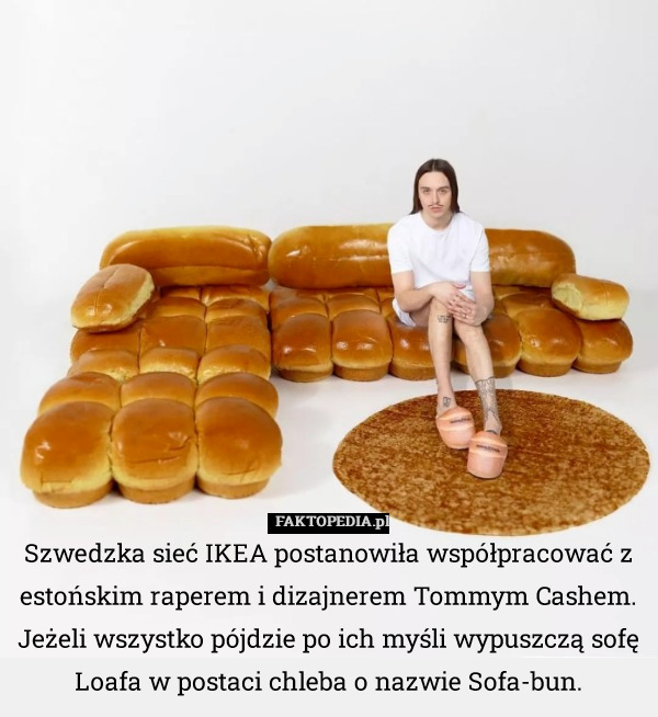 Szwedzka sieć IKEA postanowiła współpracować z estońskim raperem i dizajnerem Tommym Cashem. Jeżeli wszystko pójdzie po ich myśli wypuszczą sofę Loafa w postaci chleba o nazwie Sofa-bun. 