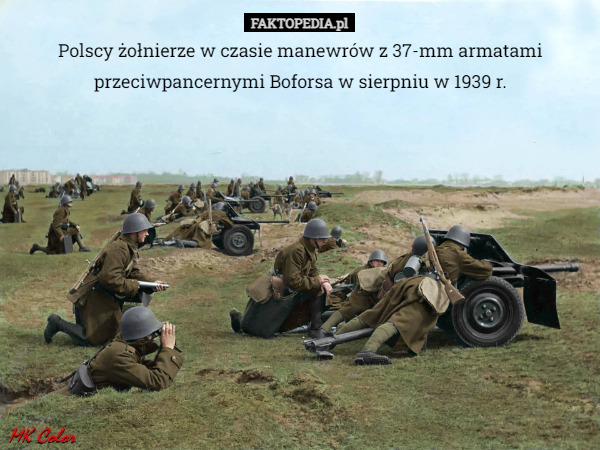 Polscy żołnierze w czasie manewrów z 37-mm armatami przeciwpancernymi Boforsa w sierpniu w 1939 r. 