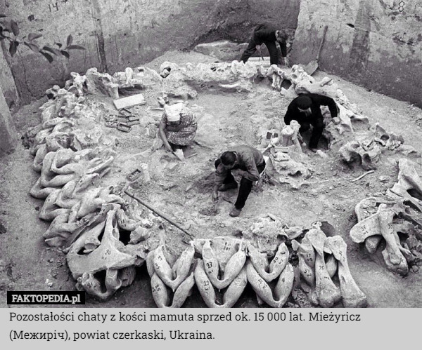 Pozostałości chaty z kości mamuta sprzed ok. 15 000 lat. Mieżyricz (Межиріч), powiat czerkaski, Ukraina. 
