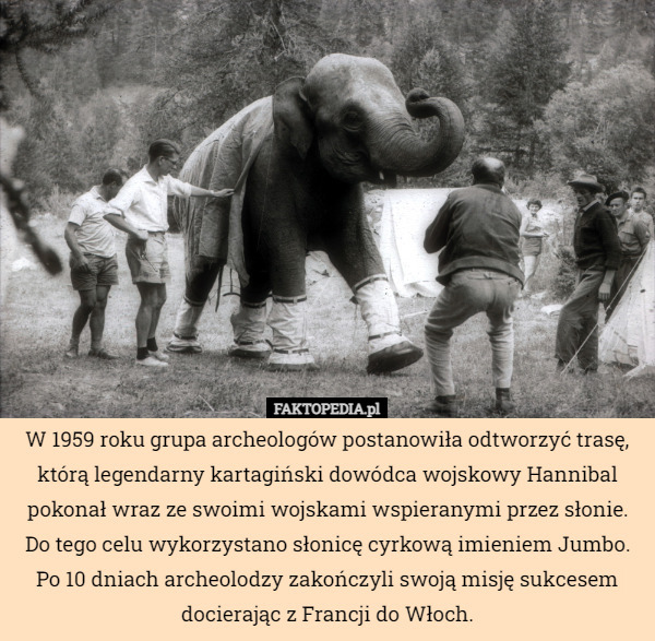 W 1959 roku grupa archeologów postanowiła odtworzyć trasę, którą legendarny kartagiński dowódca wojskowy Hannibal pokonał wraz ze swoimi wojskami wspieranymi przez słonie. Do tego celu wykorzystano słonicę cyrkową imieniem Jumbo. Po 10 dniach archeolodzy zakończyli swoją misję sukcesem docierając z Francji do Włoch. 