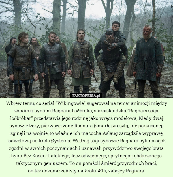 Wbrew temu, co serial "Wikingowie" sugerował na temat animozji między żonami i synami Ragnara Loðbroka, staroislandzka "Ragnars saga loðbrókar" przedstawia jego rodzinę jako wręcz modelową. Kiedy dwaj synowie Þory, pierwszej żony Ragnara (zmarłej zresztą, nie porzuconej) zginęli na wojnie, to właśnie ich macocha Aslaug zarządziła wyprawę odwetową na króla Øysteina. Według sagi synowie Ragnara byli na ogół zgodni w swoich poczynaniach i uznawali przywództwo swojego brata Ivara Bez Kości - kalekiego, lecz odważnego, sprytnego i obdarzonego taktycznym geniuszem. To on pomścił śmierć przyrodnich braci,
 on też dokonał zemsty na królu Ælli, zabójcy Ragnara. 