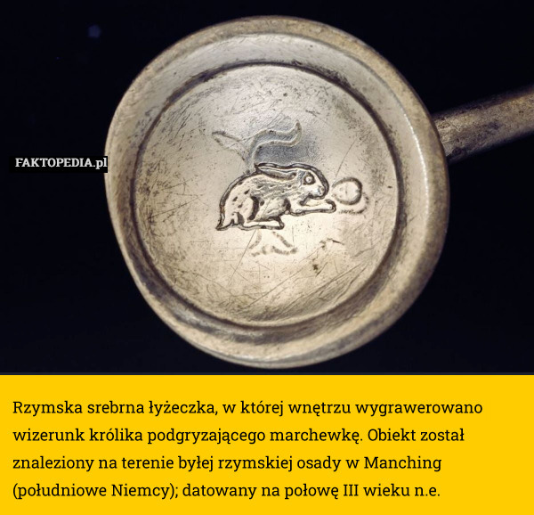 Rzymska srebrna łyżeczka, w której wnętrzu wygrawerowano wizerunk królika podgryzającego marchewkę. Obiekt został znaleziony na terenie byłej rzymskiej osady w Manching (południowe Niemcy); datowany na połowę III wieku n.e. 
