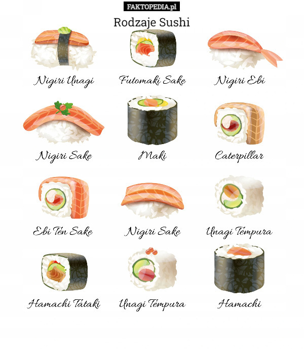 Rodzaje Sushi 