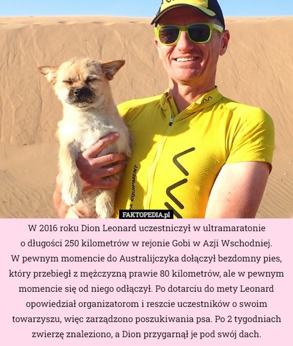 W 2016 roku Dion Leonard uczestniczył w ultramaratonie
o długości 250 kilometrów w rejonie Gobi w Azji Wschodniej.
W pewnym momencie do Australijczyka dołączył bezdomny pies, który przebiegł z mężczyzną prawie 80 kilometrów, ale w pewnym momencie się od niego odłączył. Po dotarciu do mety Leonard opowiedział organizatorom i reszcie uczestników o swoim towarzyszu, więc zarządzono poszukiwania psa. Po 2 tygodniach zwierzę znaleziono, a Dion przygarnął je pod swój dach. 