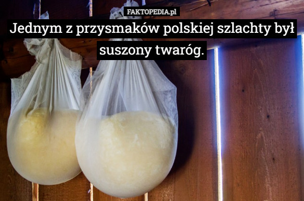 Jednym z przysmaków polskiej szlachty był suszony twaróg. 