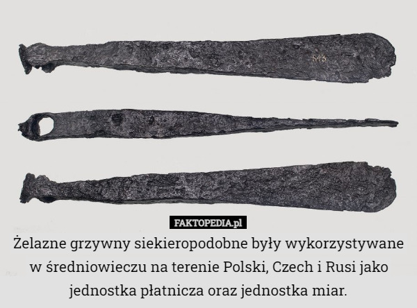 Żelazne grzywny siekieropodobne były wykorzystywane w średniowieczu na terenie Polski, Czech i Rusi jako jednostka płatnicza oraz jednostka miar. 