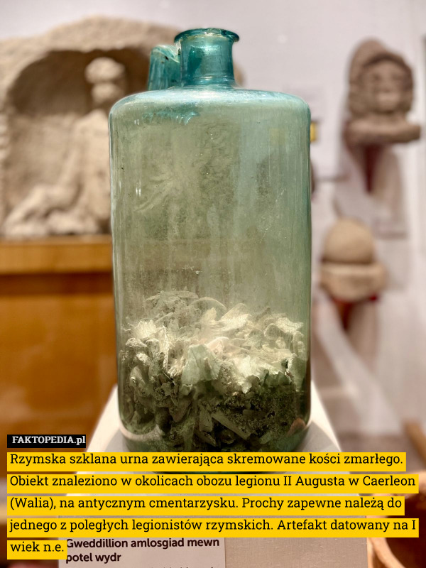 Rzymska szklana urna zawierająca skremowane kości zmarłego. Obiekt znaleziono w okolicach obozu legionu II Augusta w Caerleon (Walia), na antycznym cmentarzysku. Prochy zapewne należą do jednego z poległych legionistów rzymskich. Artefakt datowany na I wiek n.e. 