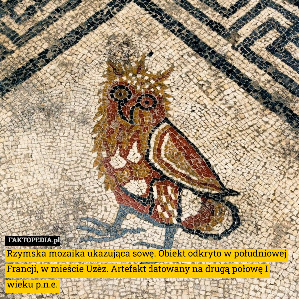 Rzymska mozaika ukazująca sowę. Obiekt odkryto w południowej Francji, w mieście Uzèz. Artefakt datowany na drugą połowę I wieku p.n.e. 