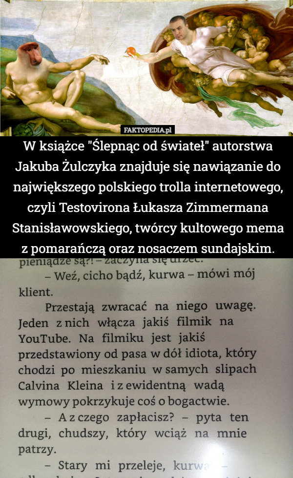 W książce "Ślepnąc od świateł" autorstwa Jakuba Żulczyka znajduje się nawiązanie do największego polskiego trolla internetowego, czyli Testovirona Łukasza Zimmermana Stanisławowskiego, twórcy kultowego mema z pomarańczą oraz nosaczem sundajskim. 