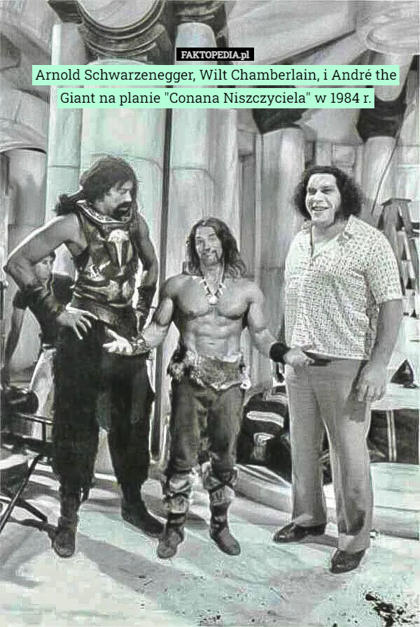 Arnold Schwarzenegger, Wilt Chamberlain, i André the Giant na planie "Conana Niszczyciela" w 1984 r. 