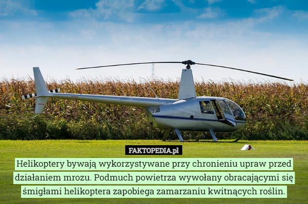 Helikoptery bywają wykorzystywane przy chronieniu upraw przed działaniem mrozu. Podmuch powietrza wywołany obracającymi się śmigłami helikoptera zapobiega zamarzaniu kwitnących roślin. 