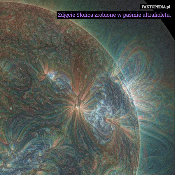 Zdjęcie Słońca zrobione w paśmie ultrafioletu. 