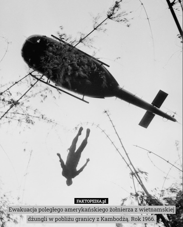 Ewakuacja poległego amerykańskiego żołnierza z wietnamskiej dżungli w pobliżu granicy z Kambodżą. Rok 1966. 