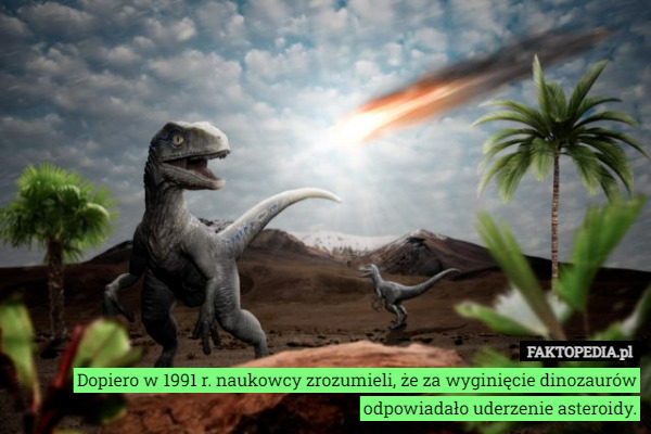 Dopiero w 1991 r. naukowcy zrozumieli, że za wyginięcie dinozaurów odpowiadało uderzenie asteroidy. 
