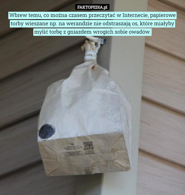 Wbrew temu, co można czasem przeczytać w Internecie, papierowe torby wieszane np. na werandzie nie odstraszają os, które miałyby mylić torbę z gniazdem wrogich sobie owadów. 