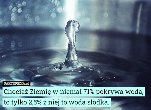 Chociaż Ziemię w niemal 71% pokrywa woda, to tylko 2,5% z niej to woda słodka. 