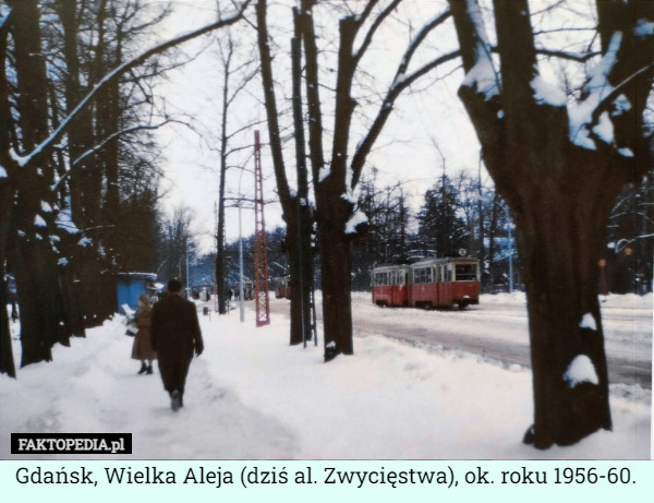 Gdańsk, Wielka Aleja (dziś al. Zwycięstwa), ok. roku 1956-60. 
