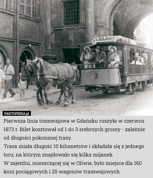 Pierwsza linia tramwajowa w Gdańsku ruszyła w czerwcu 1873 r. Bilet kosztował od 1 do 3 srebrnych groszy - zależnie od długości pokonanej trasy.
Trasa miała długość 10 kilometrów i składała się z jednego toru, na którym znajdowało się kilka mijanek.
W zajezdni, mieszczącej się w Oliwie, było miejsce dla 160 koni pociągowych i 25 wagonów tramwajowych. 