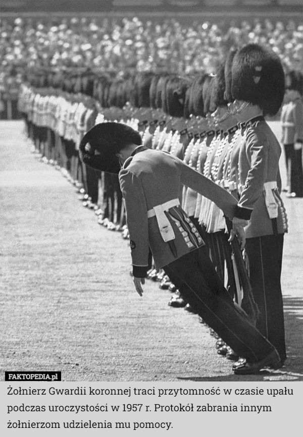 Żołnierz Gwardii koronnej traci przytomność w czasie upału podczas uroczystości w 1957 r. Protokół zabrania innym żołnierzom udzielenia mu pomocy. 