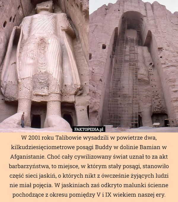 W 2001 roku Talibowie wysadzili w powietrze dwa, kilkudziesięciometrowe posągi Buddy w dolinie Bamian w Afganistanie. Choć cały cywilizowany świat uznał to za akt barbarzyństwa, to miejsce, w którym stały posągi, stanowiło część sieci jaskiń, o których nikt z ówcześnie żyjących ludzi
nie miał pojęcia. W jaskiniach zaś odkryto malunki ścienne pochodzące z okresu pomiędzy V i IX wiekiem naszej ery. 