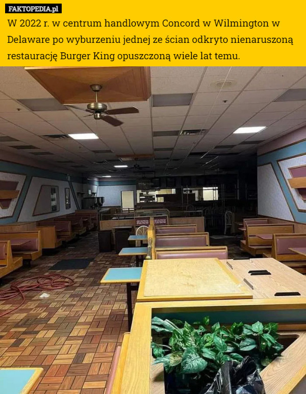 W 2022 r. w centrum handlowym Concord w Wilmington w Delaware po wyburzeniu jednej ze ścian odkryto nienaruszoną restaurację Burger King opuszczoną wiele lat temu. 