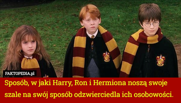 Sposób, w jaki Harry, Ron i Hermiona noszą swoje szale na swój sposób odzwierciedla ich osobowości. 