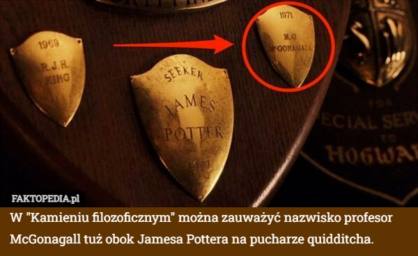 W "Kamieniu filozoficznym" można zauważyć nazwisko profesor McGonagall tuż obok Jamesa Pottera na pucharze quidditcha. 
