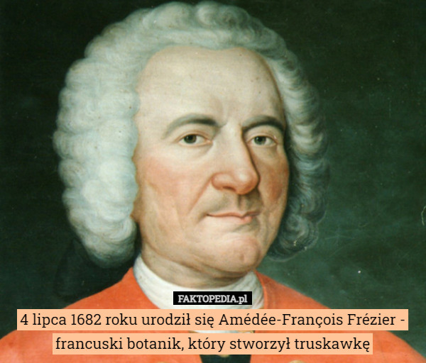 4 lipca 1682 roku urodził się Amédée-François Frézier - francuski botanik, który stworzył truskawkę 