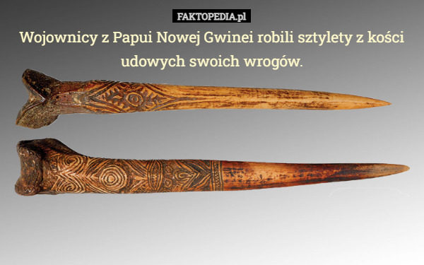 Wojownicy z Papui Nowej Gwinei robili sztylety z kości udowych swoich wrogów. 