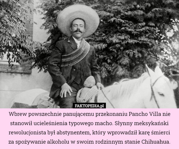 Wbrew powszechnie panującemu przekonaniu Pancho Villa nie stanowił ucieleśnienia typowego macho. Słynny meksykański rewolucjonista był abstynentem, który wprowadził karę śmierci
za spożywanie alkoholu w swoim rodzinnym stanie Chihuahua. 