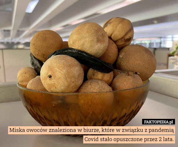 Miska owoców znaleziona w biurze, które w związku z pandemią Covid stało opuszczone przez 2 lata. 