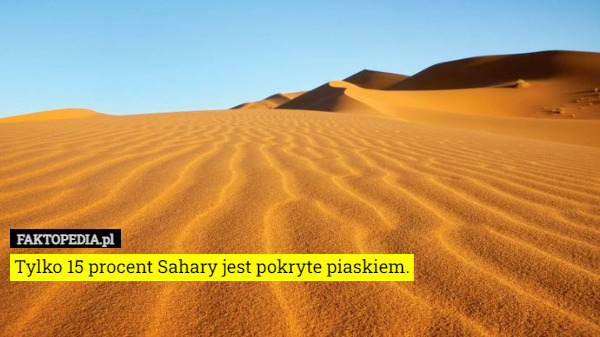Tylko 15 procent Sahary jest pokryte piaskiem. 
