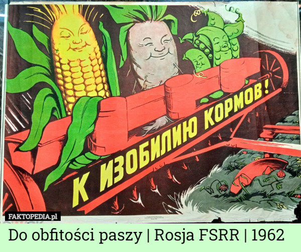 Do obfitości paszy | Rosja FSRR | 1962 