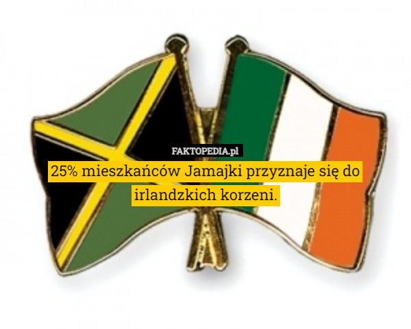 25% mieszkańców Jamajki przyznaje się do irlandzkich korzeni. 