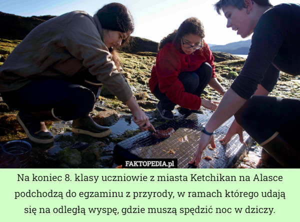 Na koniec 8. klasy uczniowie z miasta Ketchikan na Alasce podchodzą do egzaminu z przyrody, w ramach którego udają się na odległą wyspę, gdzie muszą spędzić noc w dziczy. 