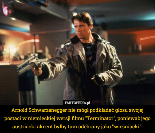 Arnold Schwarzenegger nie mógł podkładać głosu swojej postaci w niemieckiej wersji filmu "Terminator", ponieważ jego austriacki akcent byłby tam odebrany jako "wieśniacki". 