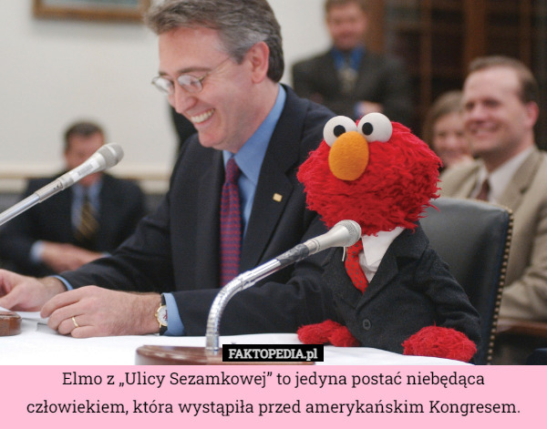 Elmo z „Ulicy Sezamkowej” to jedyna postać niebędąca człowiekiem, która wystąpiła przed amerykańskim Kongresem. 