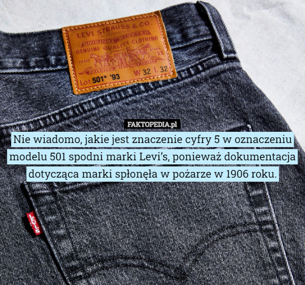 Nie wiadomo, jakie jest znaczenie cyfry 5 w oznaczeniu modelu 501 spodni marki Levi’s, ponieważ dokumentacja dotycząca marki spłonęła w pożarze w 1906 roku. 