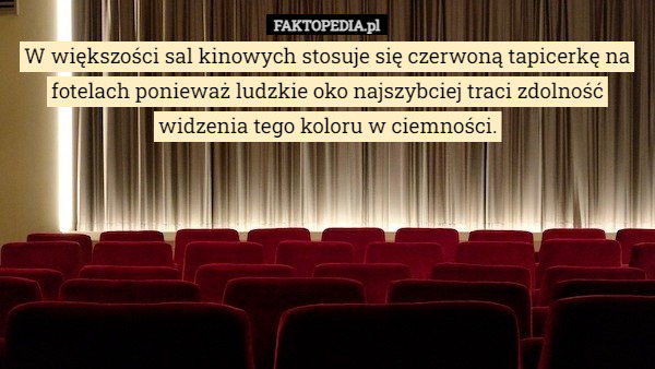 W większości sal kinowych stosuje się czerwoną tapicerkę na fotelach ponieważ ludzkie oko najszybciej traci zdolność widzenia tego koloru w ciemności. 
